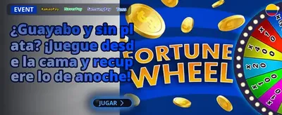 Install the Roulette Casino App